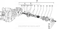 Driven pulley