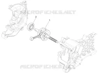 VILEBREQUIN