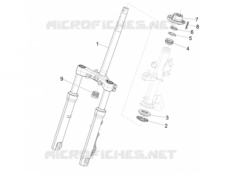 Fourche/tube direction - Ensemble butée dir. PIAGGIO PIAGGIO-SCOOTER 150 MEDLEY 2020  Medley 150 4T ie ABS Euro 4