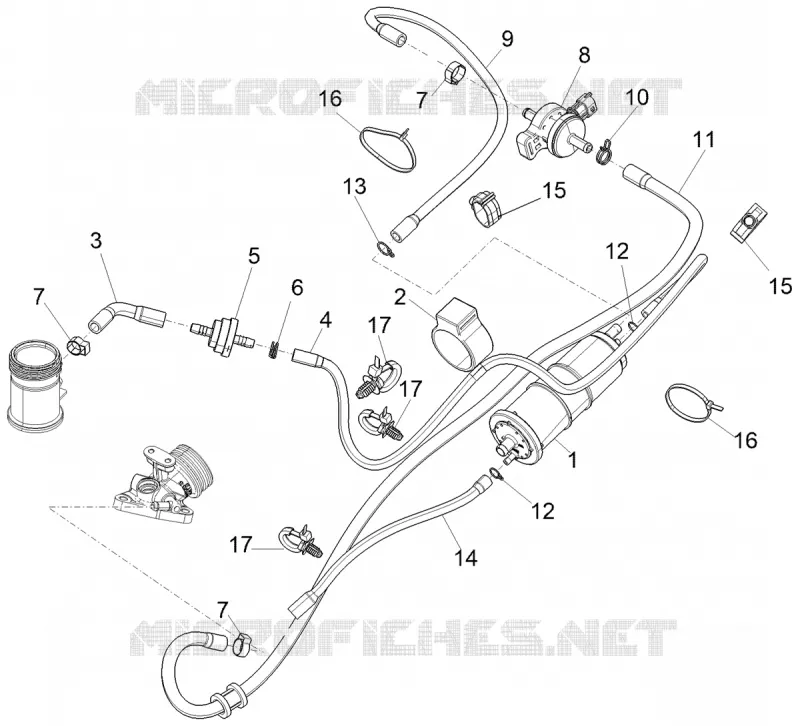 Système anti-évaporation PIAGGIO PIAGGIO-SCOOTER 150 MEDLEY 2021  Medley 150 4T ie Euro 5 ABS