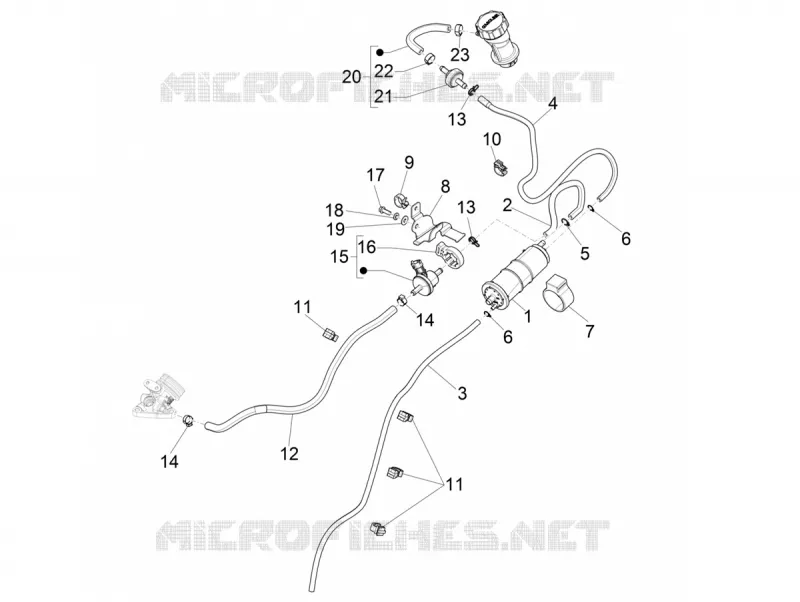 Système anti-évaporation VESPA VESPA-SCOOTER 125 PRIMAVERA 2021  Primavera 125 3V Euro 5 ABS
