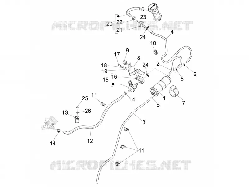 Système anti-évaporation VESPA VESPA-SCOOTER 125 PRIMAVERA 2020  Primavera 125 4T 3V ie Euro 5 ABS